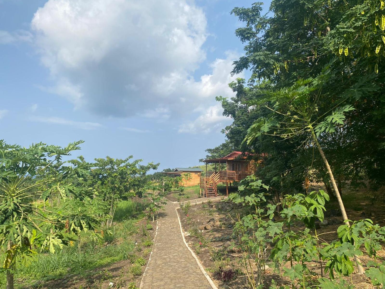 Monte Mar Saotome Villa Morro Peixe Exterior photo